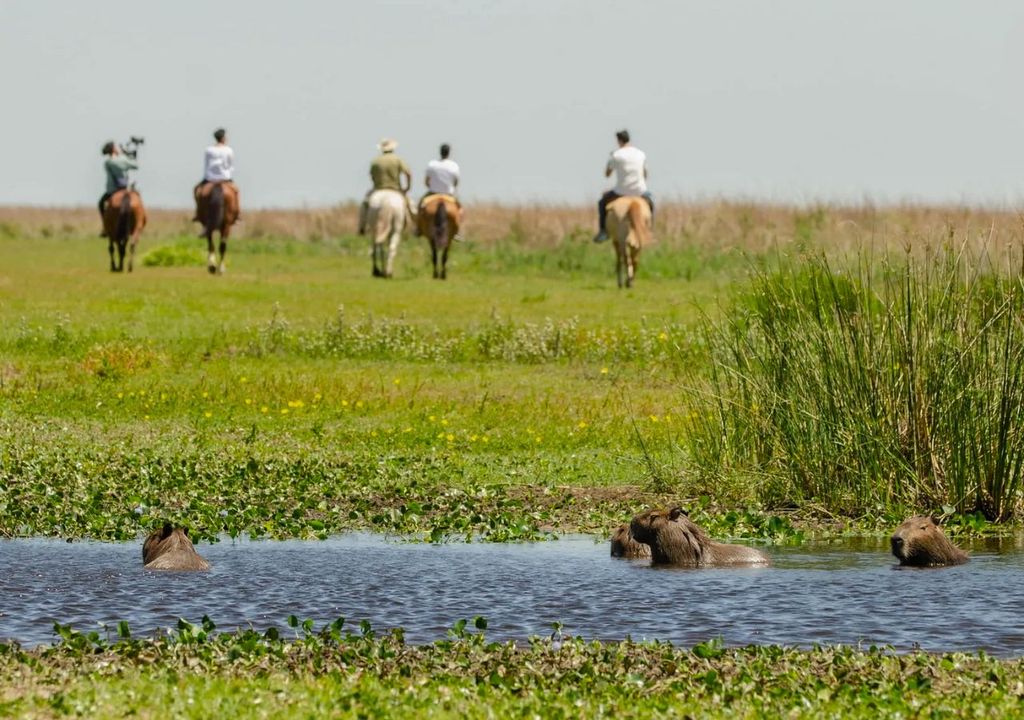 Reserva Provincial Iberá