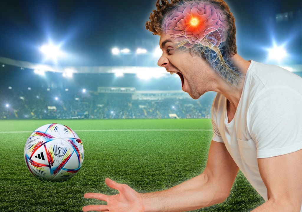 mundial de fútbol qatar 2022 copa del mundo cerebro argentina messi corazón