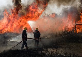 ¡Esto no para! Incendios forestales arrasan Grecia y Turquía