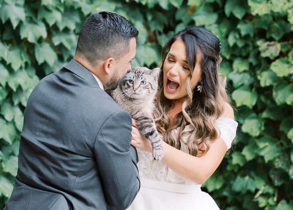 espirro de gato casamento; itália espirro de gato casamento; itália