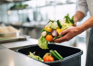 Estos restos de cocina pueden nutrir tus plantas: c&oacute;mo usarlos y cu&aacute;les conviene evitar