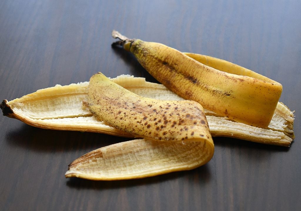 Plantas Enterradas directamente en macetas pequeñas pueden generar olores o atraer insectos.