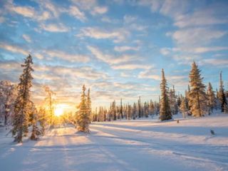 Estos son los 5 estados más fríos durante el invierno en México