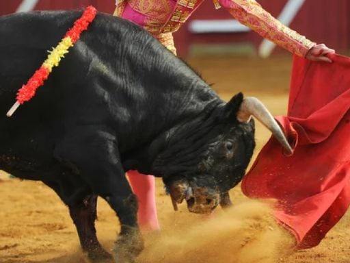 Estos son los 5 países del Continente Americano, que son pioneros en la abolición de la Tauromaquia
