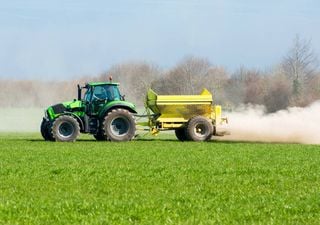 Estos son los beneficios de la cal viva en el huerto, consejos de experto sobre cómo aplicarla para optimizar tu cultivo