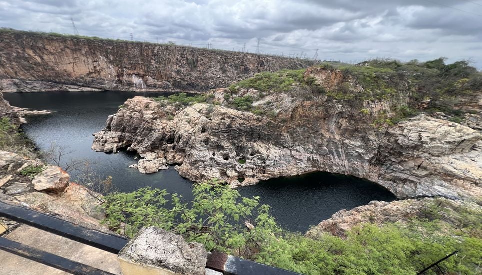 Falhas na aplicação de técnicas ambientais colocam em risco o equilíbrio e a sobrevivência botânica. Foto: Geraldo W. Fernandes