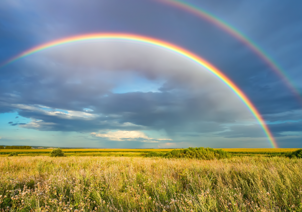 Um arco-íris não possui a cor rosa em seu esquema de cores. Um arco-íris não possui a cor rosa em seu esquema de cores.