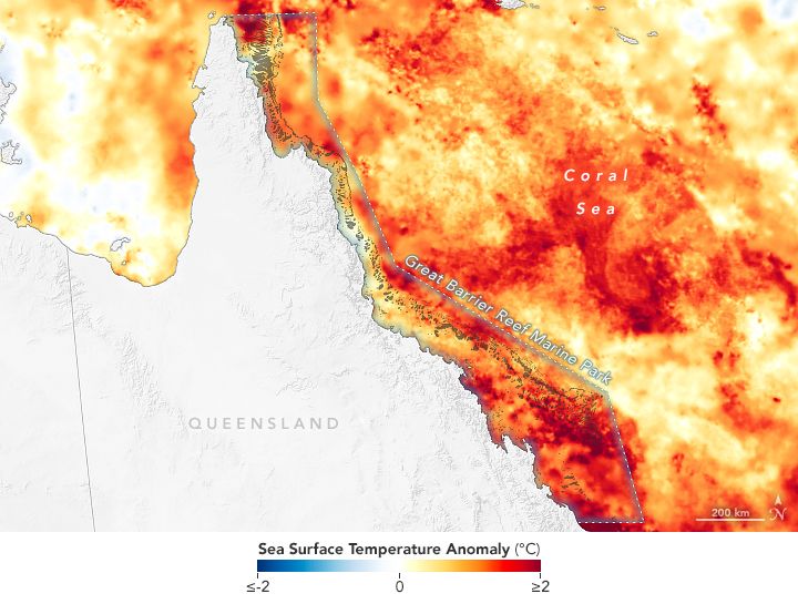 Anomalías en la temperatura de la superficie del mar frente a la costa del este de Australia el 4 de marzo de 2024. NASA