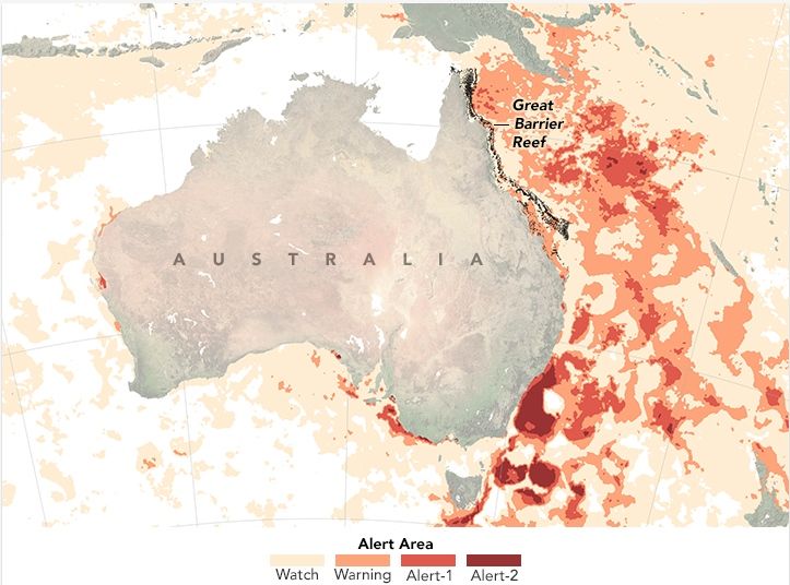 Estrés En La Gran Barrera De Coral Australiana