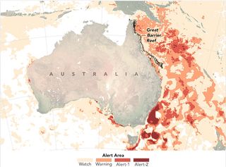 Estrés en la Gran Barrera de Coral australiana