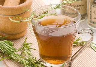 Stress e scarsa memoria? Il rosmarino ha la soluzione (e ha un profumo fantastico)