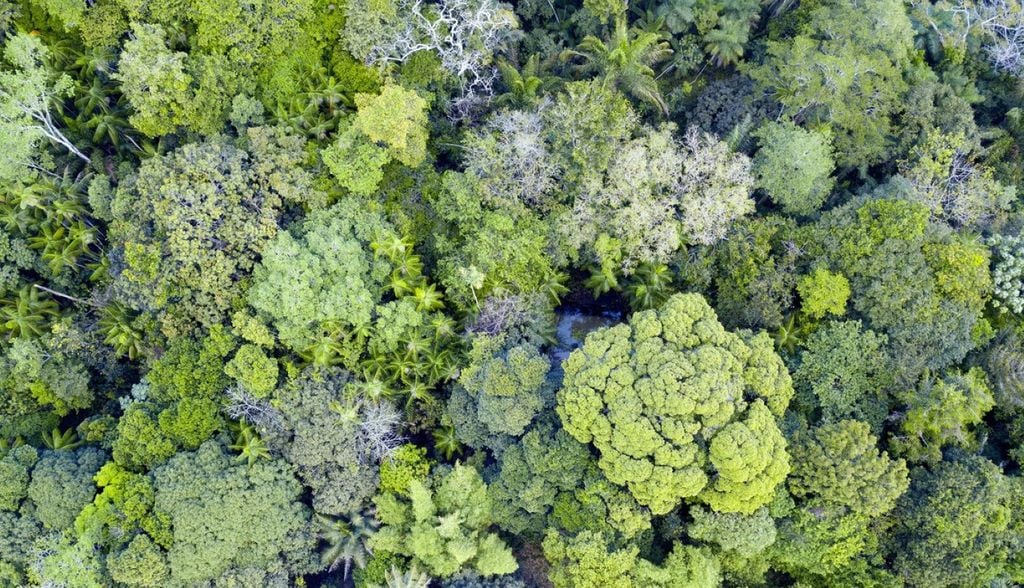O mapeamento de 4.500 km² revelou que estudos anteriores subestimaram a presença humana na região em cinco vezes. Crédito: Divulgação Xataka Brasil