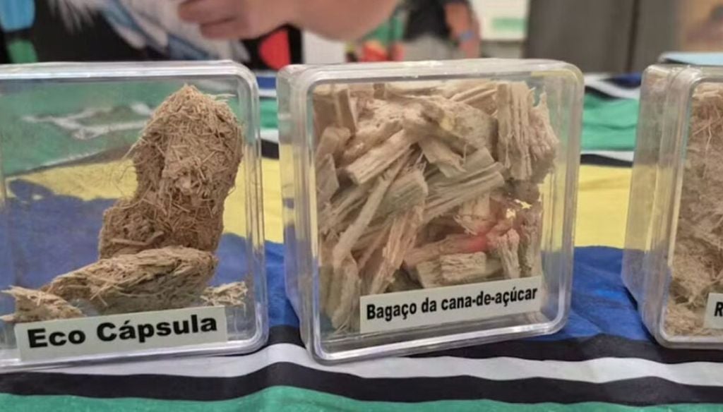 Cápsula ecológica com resíduos de cana de açúcar — Foto: Rede Amazônica ... - Veja mais em https://portalamazonia.com/amapa/capsula-cana-de-acucar-macapa/ Cápsula ecológica com resíduos de cana de açúcar. Crédito: Rede Amazônica