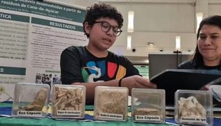 Estudante de 12 anos cria c&aacute;psula ecol&oacute;gica com res&iacute;duos de cana-de-a&ccedil;&uacute;car no Amap&aacute;