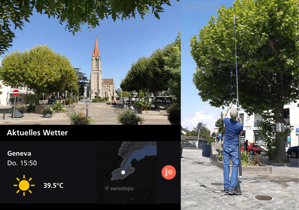 experimentos experimentos