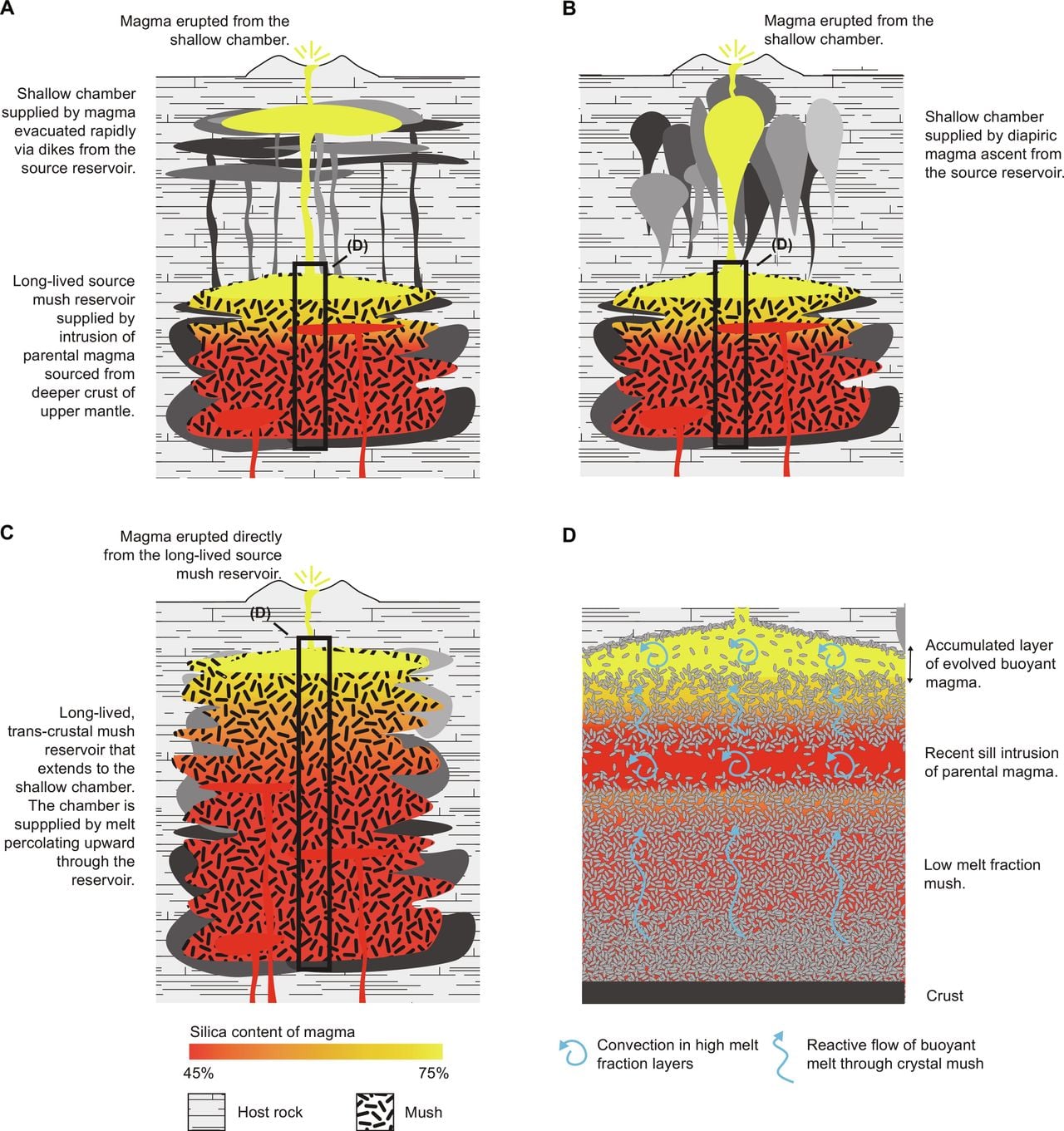 Magma Ropers Ataduras Del Magma Profundo El Alzamiento De Los Tierramarga