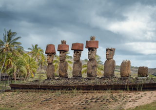 Estudio descubre que las ratas tuvieron un papel importante en la deforestación de Rapa Nui