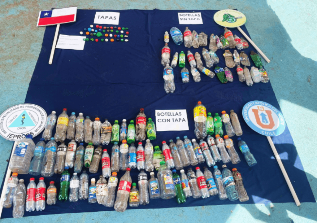 recolección en Chile