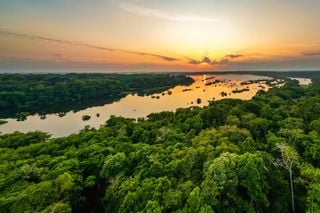Estudo alerta: um novo clima hipertrópico já ameaça a Amazônia