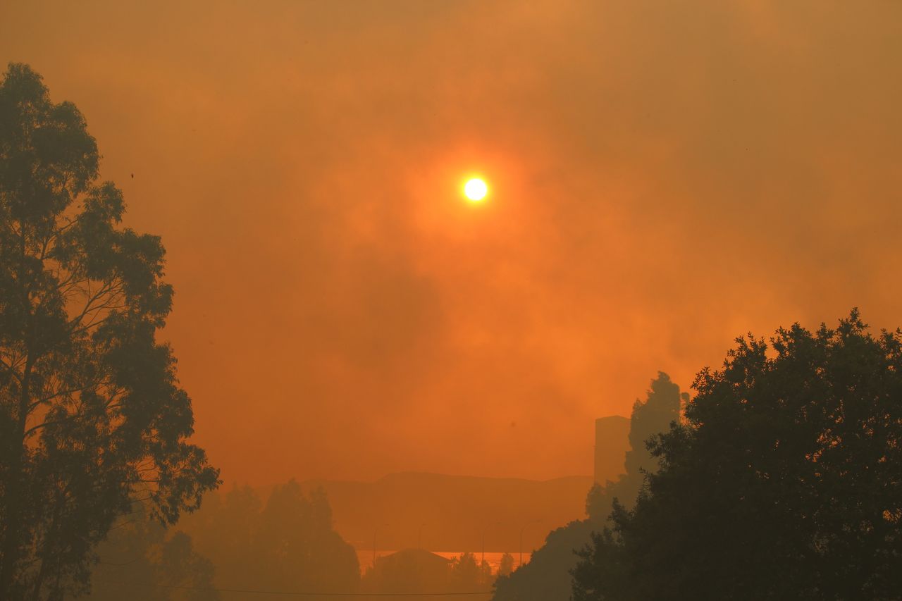 O fumo provocado pelos incêndios rurais no Sudeste Asiático ocorridos em 2019 afetaram significativamente o humor das pessoas.