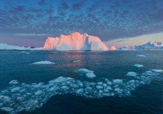 Estudo publicado na Nature aponta para aumento das ondas de calor marinhas no Ártico e revela impactos no ecossistema