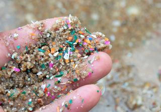 Estudo da Unifesp revela contaminação de microplásticos em praias de proteção integral no Brasil