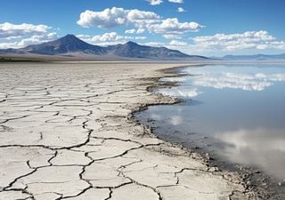 Estudo mostra que a irrigação para pecuária está destruindo o Grande Lago Salgado dos Estados Unidos