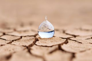 Integración entre agua, energía y alimentos: la clave para preservar los recursos naturales