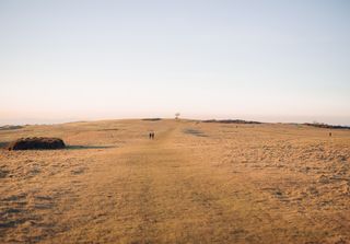 Predicen que la desertificación sólo afectará al 4 % de zonas secas, a pesar de la aridez vinculada al cambio climático