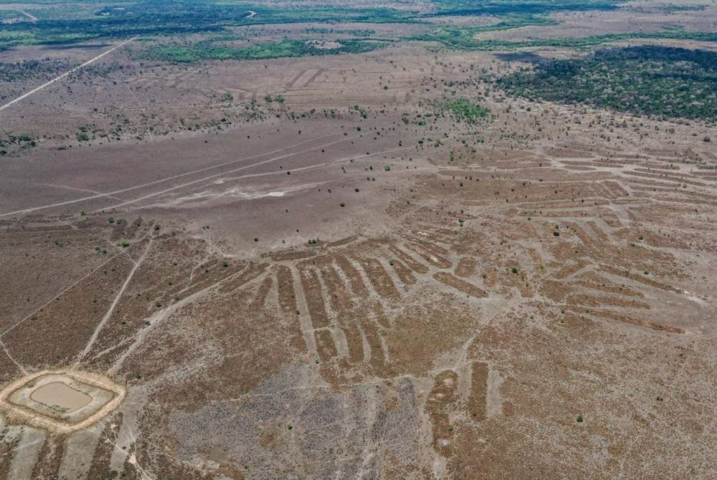 Campos de cultivo deixados por antiga civilizações indígenas que habitaram a Amazônia boliviana Campos de cultivo deixados por antiga civilizações indígenas que habitaram a Amazônia boliviana
