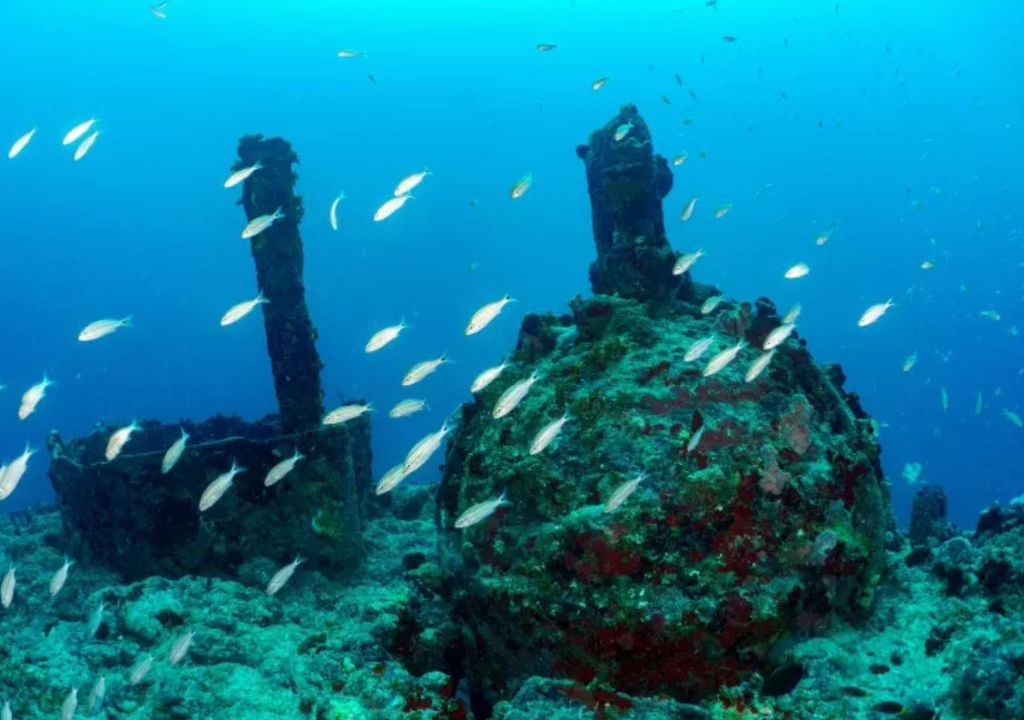 Naufrágios no litoral brasileiro