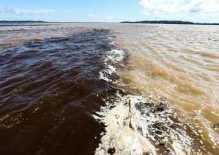 Estudo revela que a coloração dos rios na Amazônia pode indicar risco de malária