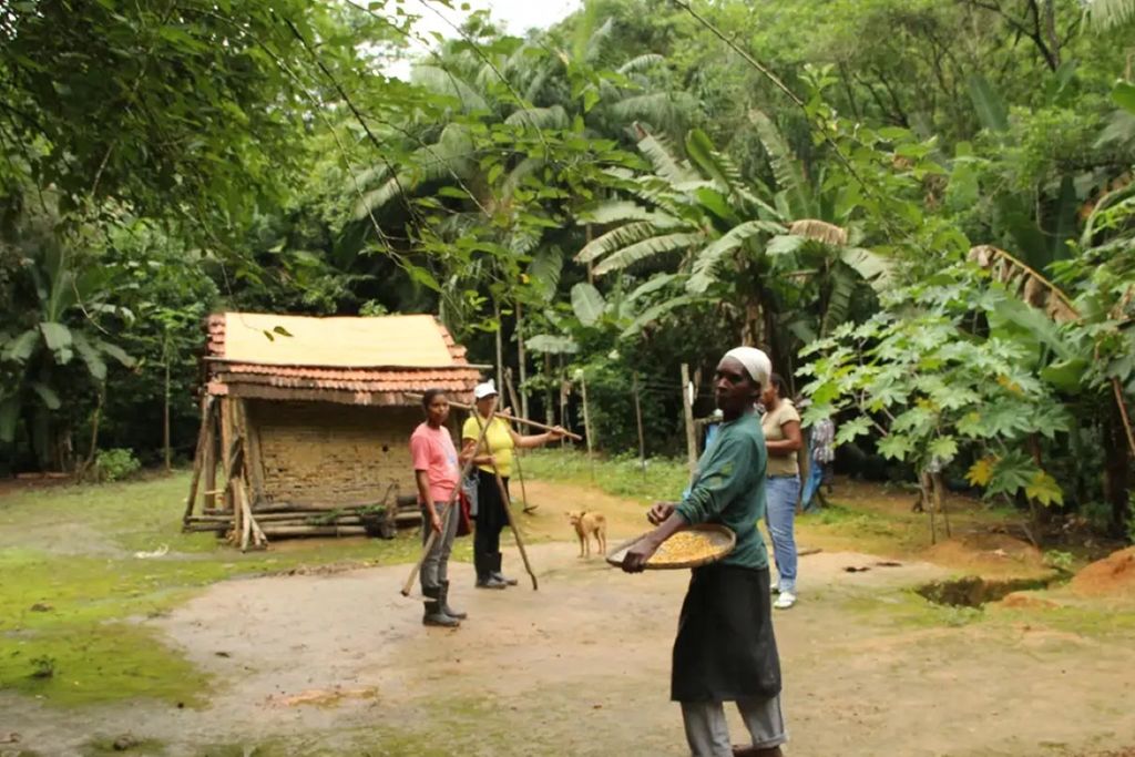 Estudo mostra territórios destes Povos com menor perda florestal, mais biodiversidade e retenção de carbono. Estudo mostra territórios destes Povos com menor perda florestal, mais biodiversidade e retenção de carbono.