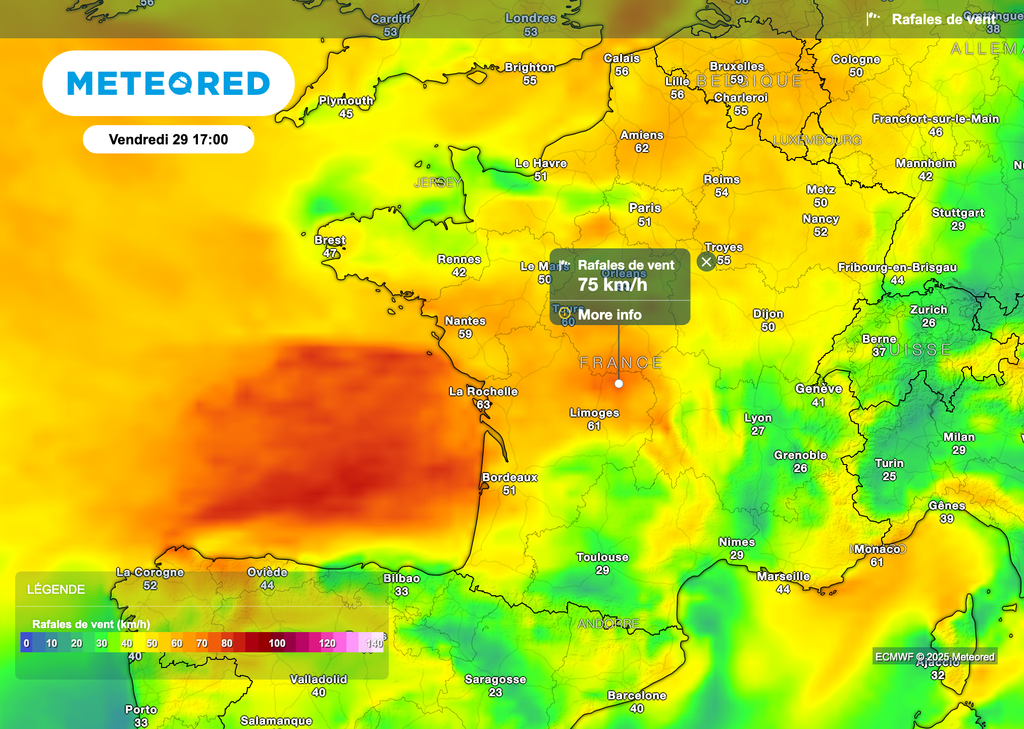 Ambiance automnale et fortes rafales de vent ce vendredi.