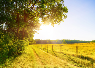 Et si le printemps voire l'été arrivaient d'ici le début du mois de mai en France ? Découvrez les tendances météo