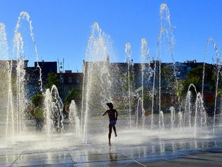 Été 2003 : la France suffoque, la canicule fait 20 000 morts