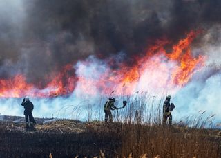 Été 2021 : l'Europe face aux conséquences du changement climatique !