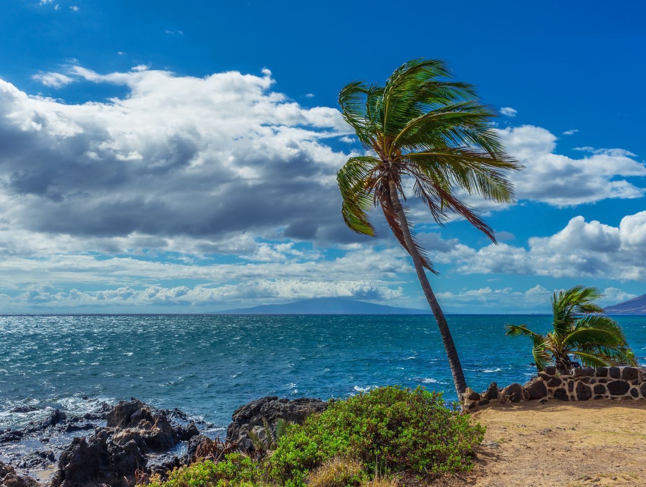 Etimologías curiosas de los vientos, ¿de dónde vienen sus nombres?
