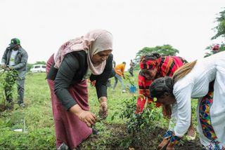 Etiopía se hace más verde al plantar millones de árboles