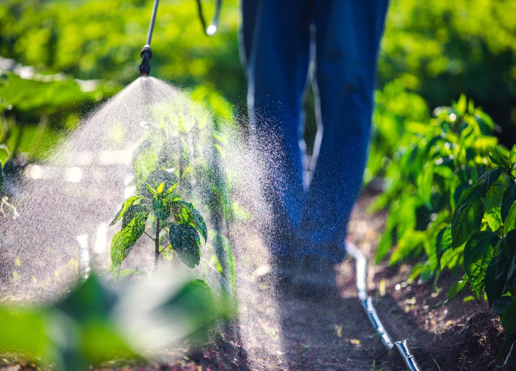 Pesticides champs pulvérisation agriculture