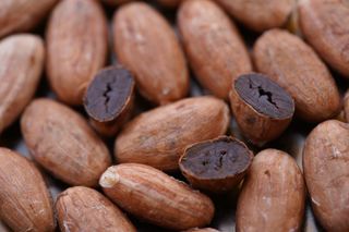 EUDR adiado: e agora? Cronograma novo, passo a passo para soja, café, cacau e carne