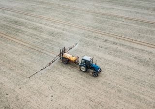 Europa avaló la continuidad del glifosato: ¿por qué es clave para Argentina?