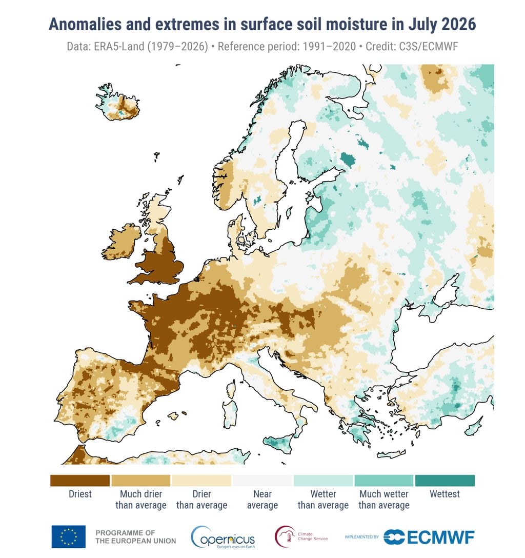 Anomalías y valores extremos en el contenido volumétrico de humedad de los primeros 7 cm de suelo para julio de 2026. Las categorías de color se refieren a los percentiles de la distribución para el período de referencia 1991-2020. Las categorías extremas («Más seco» y «Más húmedo») se basan en clasificaciones para el período 1979-2026. Fuente de datos: ERA5-Land / Copernicus