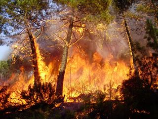 Europa registra las mayores emisiones de carbono en 2025 de los últimos 23 años procedente de incendios forestales