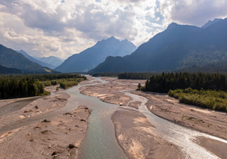 Europe’s dam removals hit a record high in 2024: What are the impacts on wildlife?