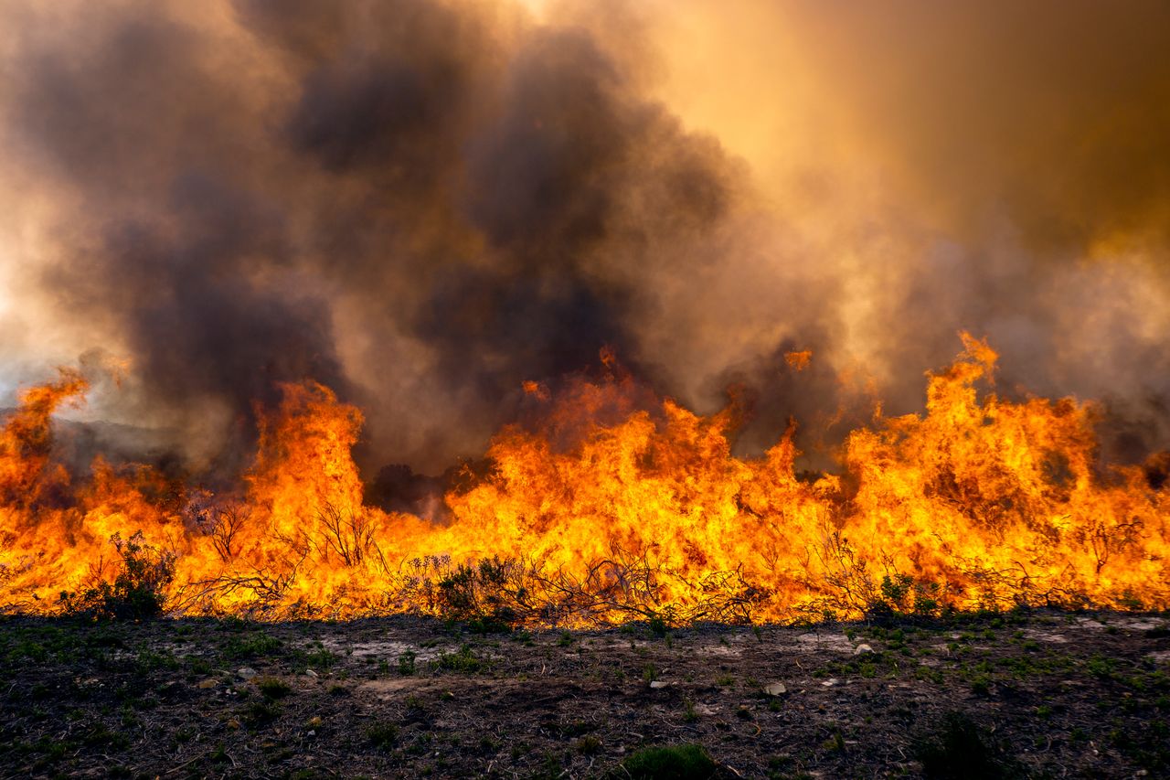 Evacuation orders issued in California as Lake Fire spreads to 13,264 ...