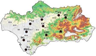 Evaluación de variables agrometeorológicas mediante teledetección y su aplicación a la optimización del uso del agua