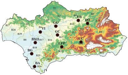Figura 3. Evapotranspiración de referencia (ETo) diaria acumulada en Andalucía para el año 2007 utilizando técnicas de teledetección.