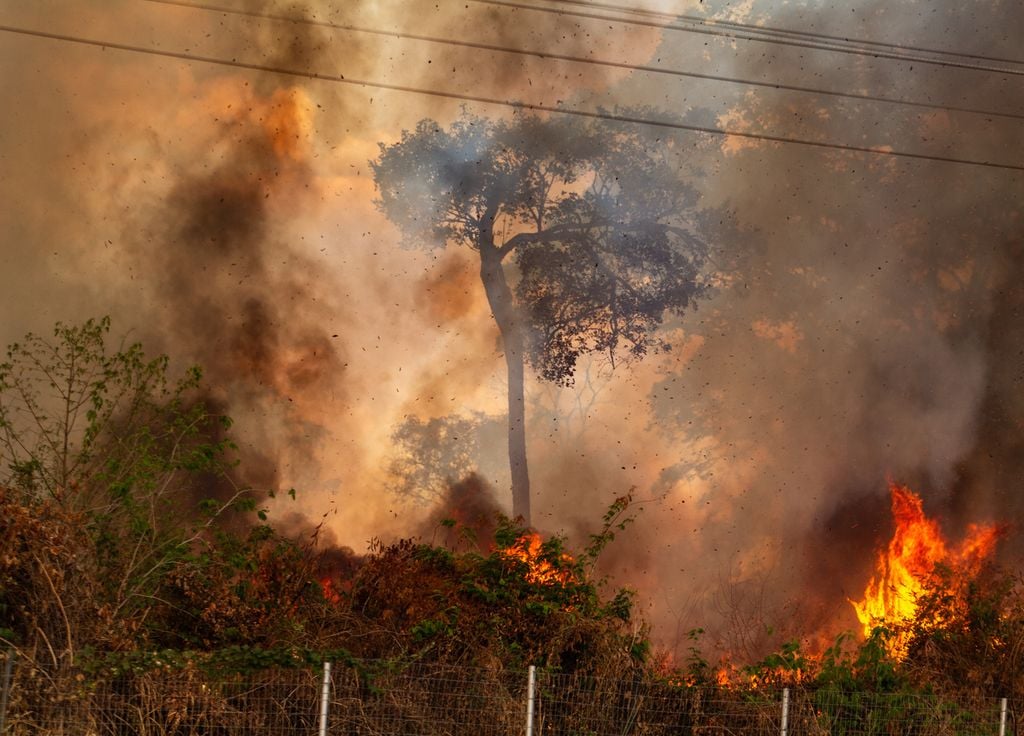 Les incendies, l'un des événements climatiques extrêmes le plus cité par les Français.