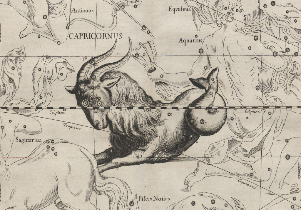 Costellazione del Capricorno